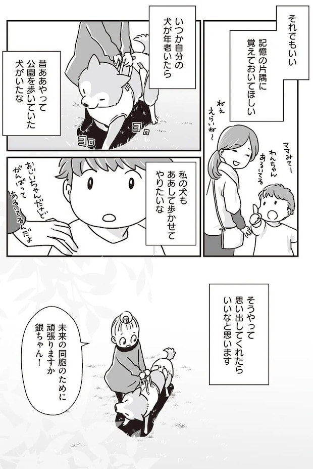 16295483.webp