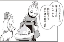 愛犬へかけられる声が「渋い」から「かわいい～」に。カートに乗るようになったシニア犬／愛犬グミと銀次郎と過ごした日々