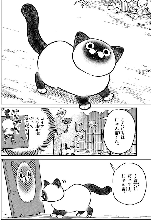 16212590.webp