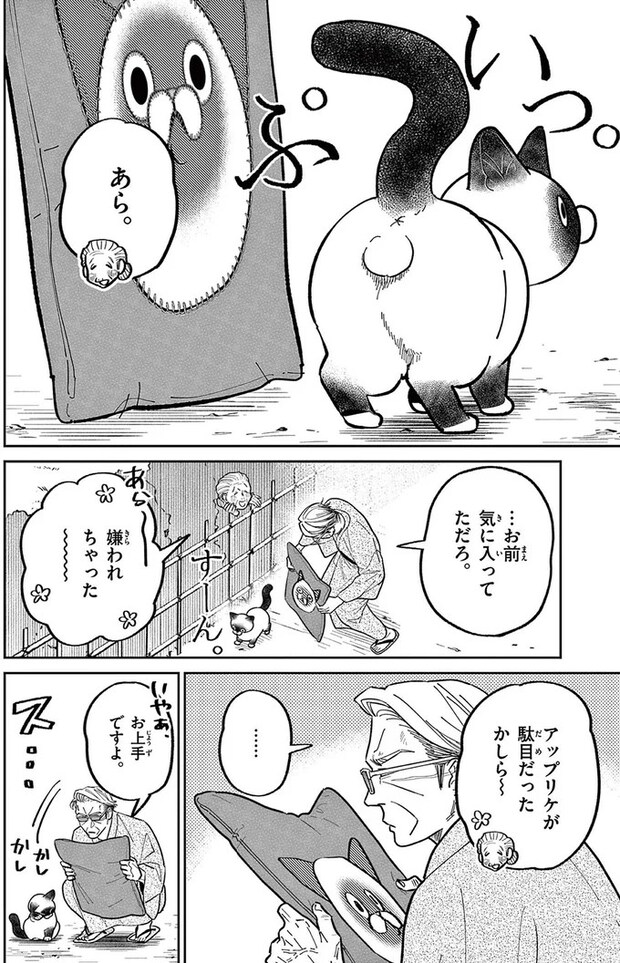 16212592.webp