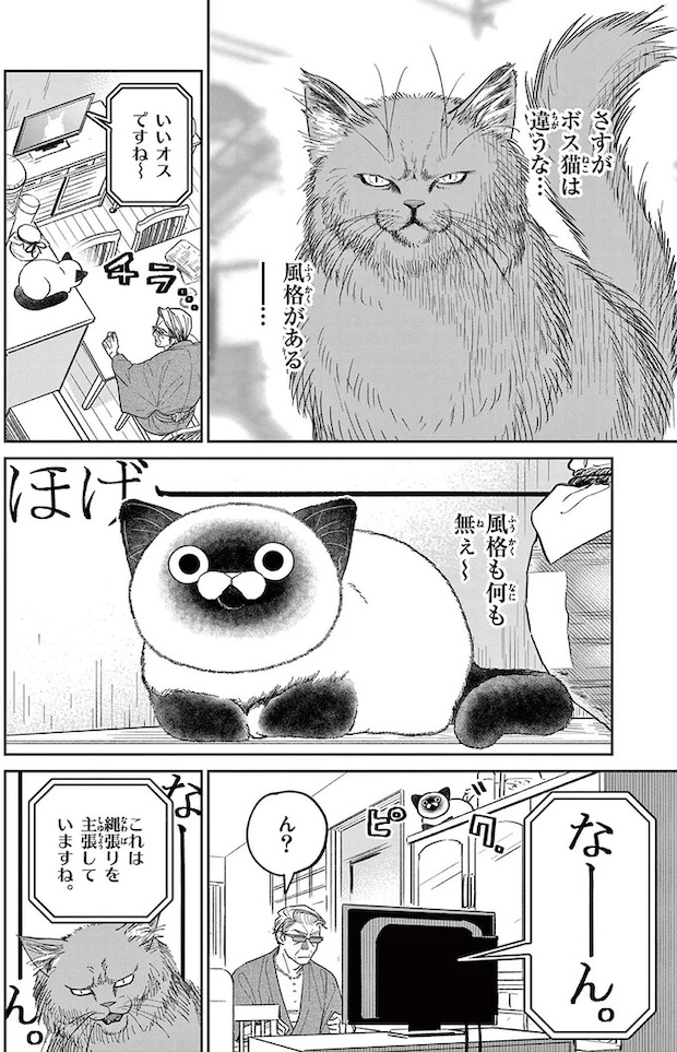 16212761.webp