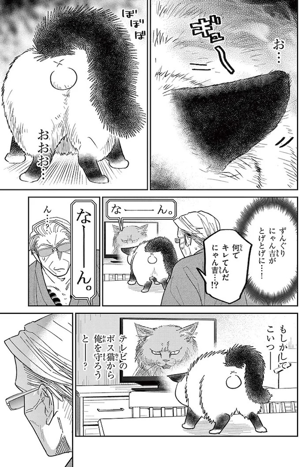 16212764.webp