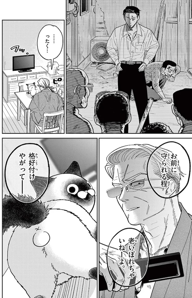 16212765.webp