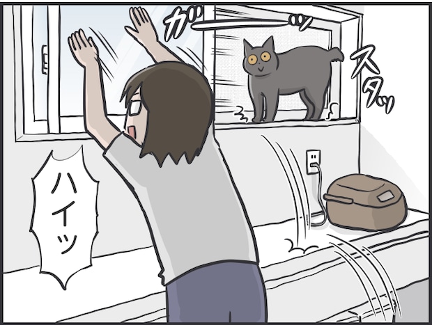 猫に甘えてもらえない私3.PNG