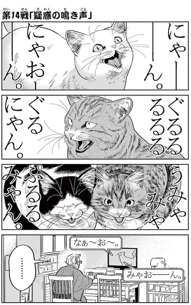 16214519.webp