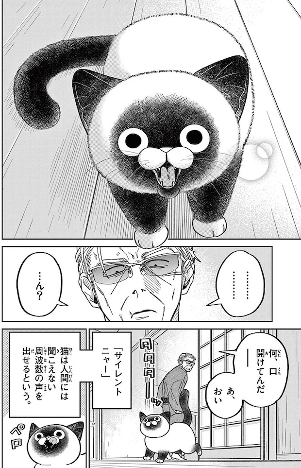 16214559.webp