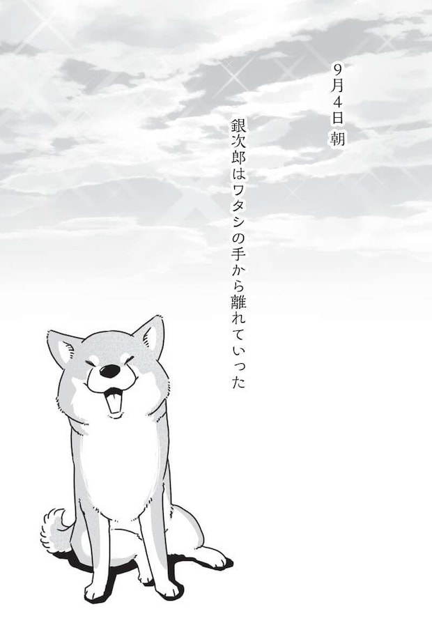 mydog-P77.jpg