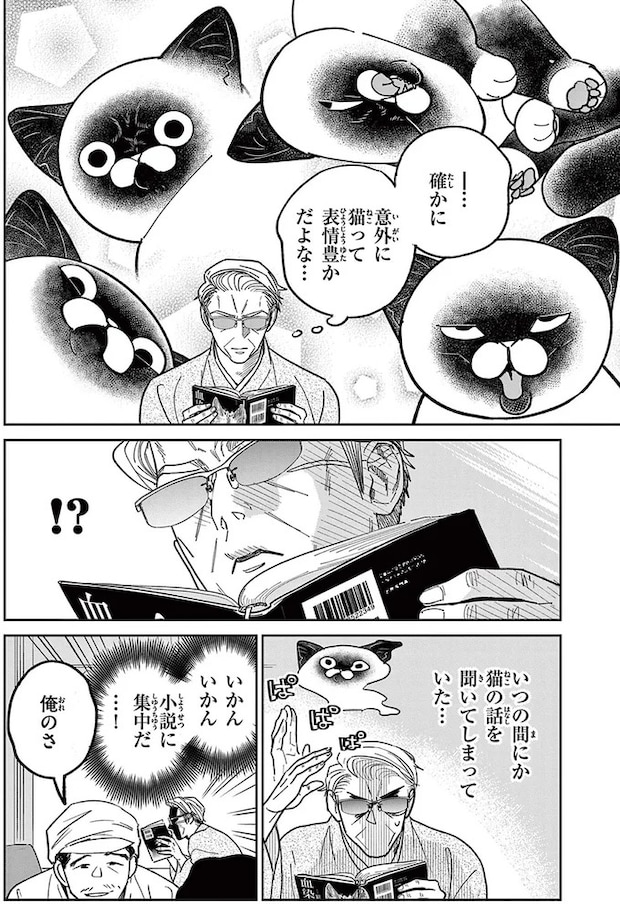 16215311.webp