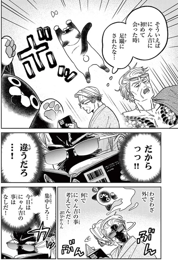16215313.webp