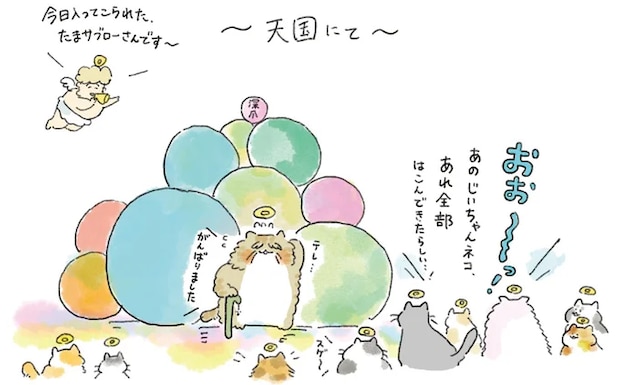 01-05.png