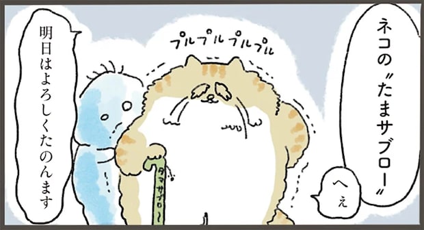 この世を去るとき飼い主の不幸を持っていける!? 老猫が選んだものは.../天国での暮らしはどうですか