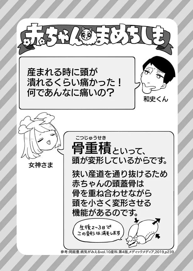 17.webp