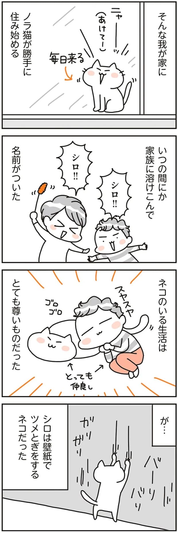 16468137.webp