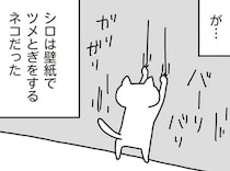 こんなはずでは...こだわりマイホームの「誤算」。BBQ、プール、ペット...理想と現実／こだわりマイホームを手放して