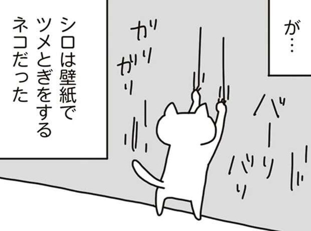 こんなはずでは...こだわりマイホームの「誤算」。BBQ、プール、ペット...理想と現実/こだわりマイホームを手放して