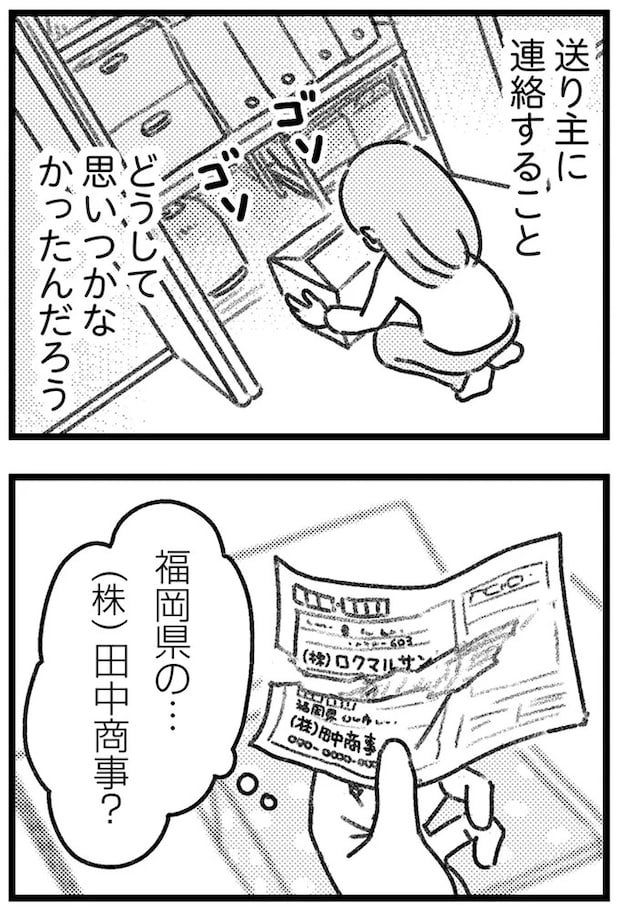 16245251.webp