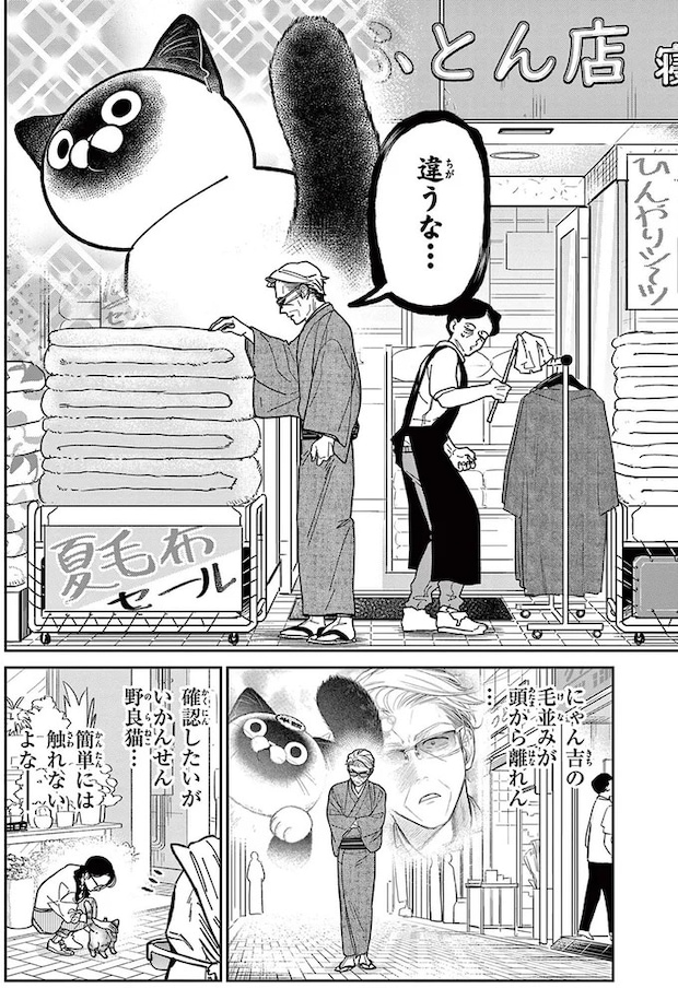 16223120.webp
