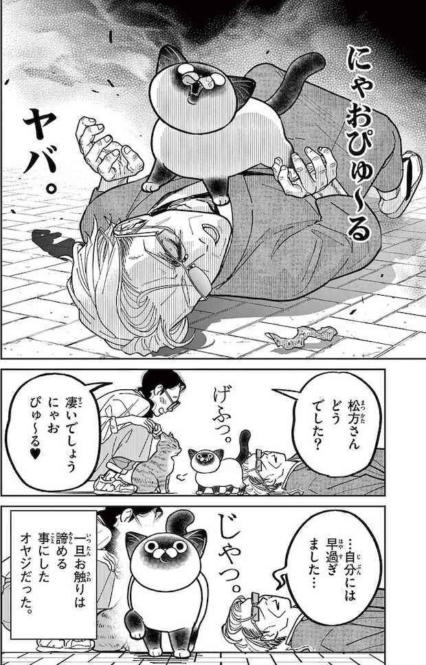 16223130.webp