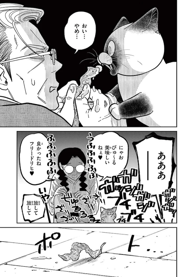 16223129.webp