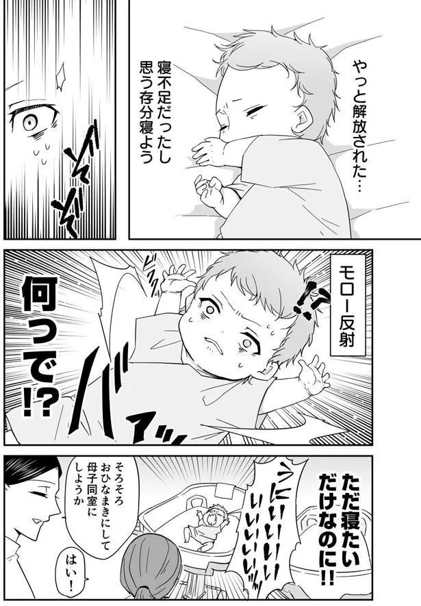 26.webp