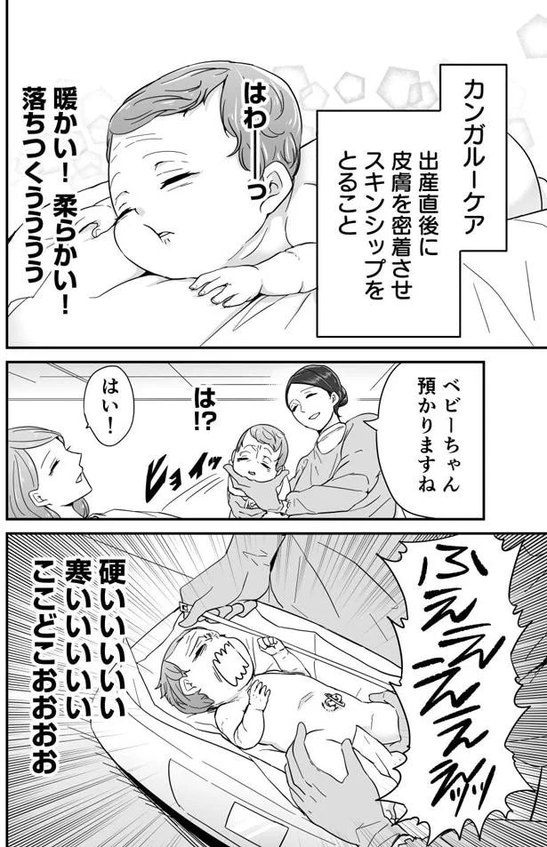 23.webp