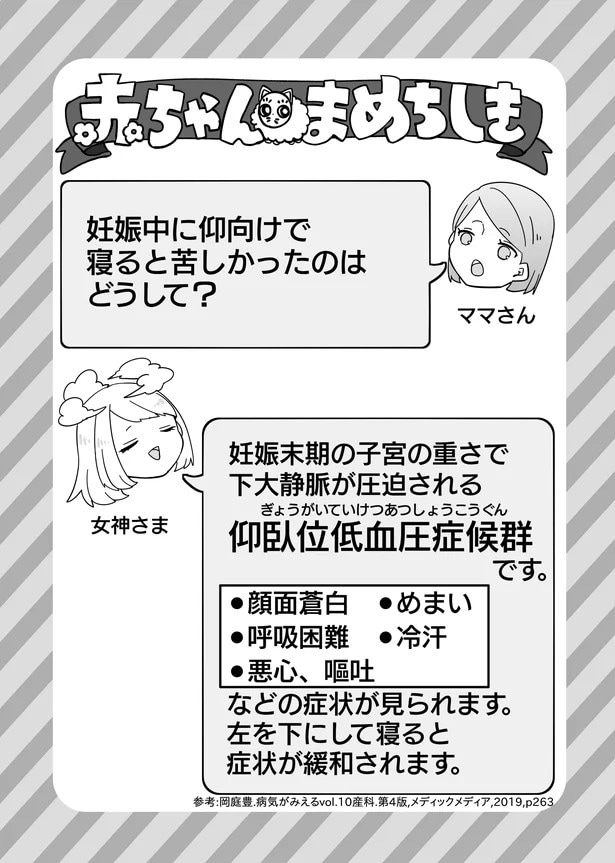 24.webp