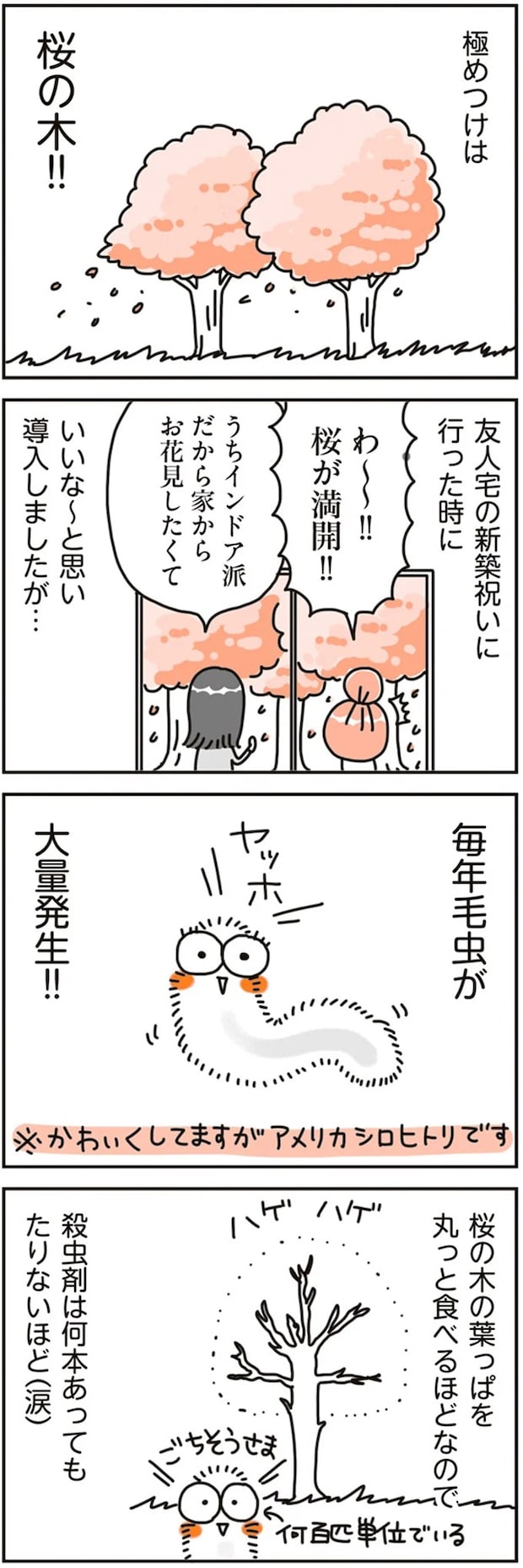 16468146.webp