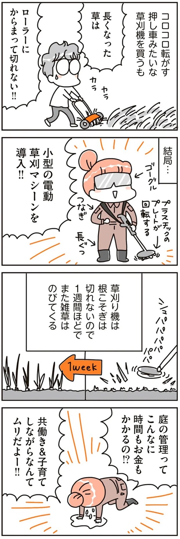 16468145.webp