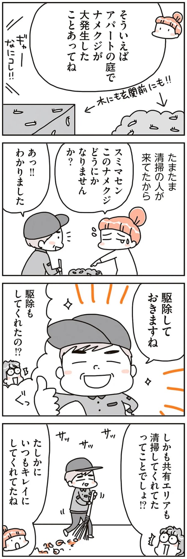 16468148.webp