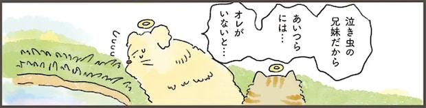 「オレが守ってやらんと！」天国から泣き虫兄妹を見守る大型犬。その後に...／天国での暮らしはどうですか
