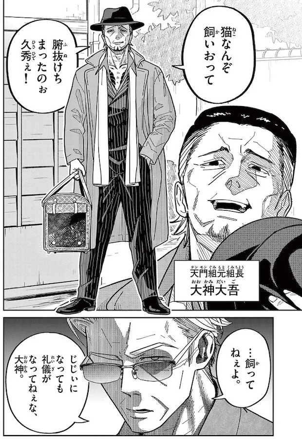 16223491.webp