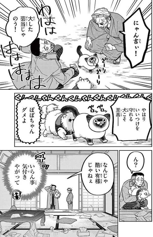 16223502.webp