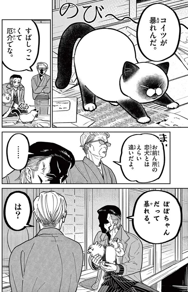 16223505.webp
