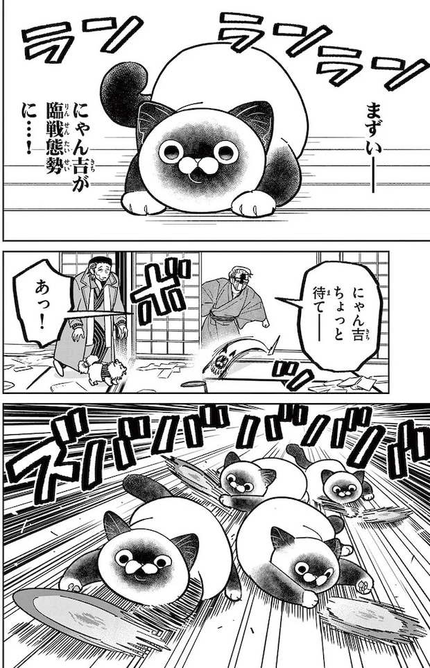 16223508.webp