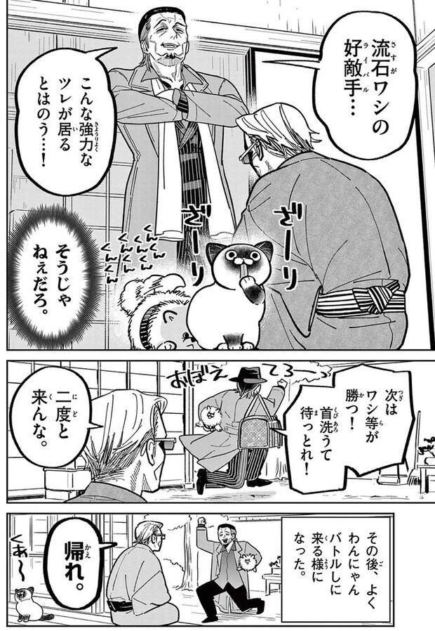 16223510.webp