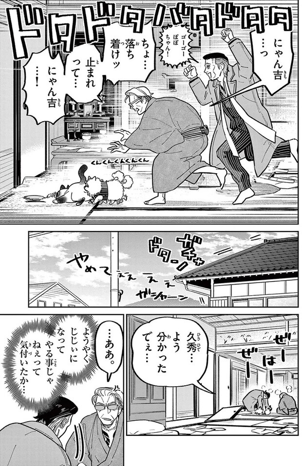 16223509.webp