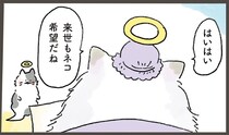 来世はネコ希望の人間。徳を積んでいたからもらえたチャームポイントは...これ？／天国での暮らしはどうですか