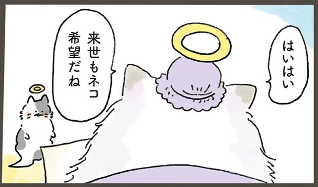 来世はネコ希望の人間。徳を積んでいたからもらえたチャームポイントは...これ？／天国での暮らしはどうですか