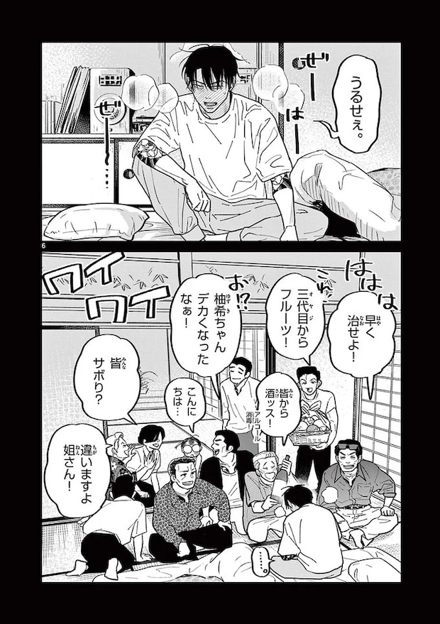 16223646.webp