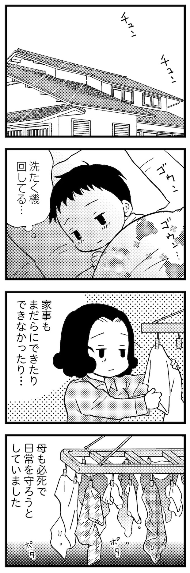 16721523.webp