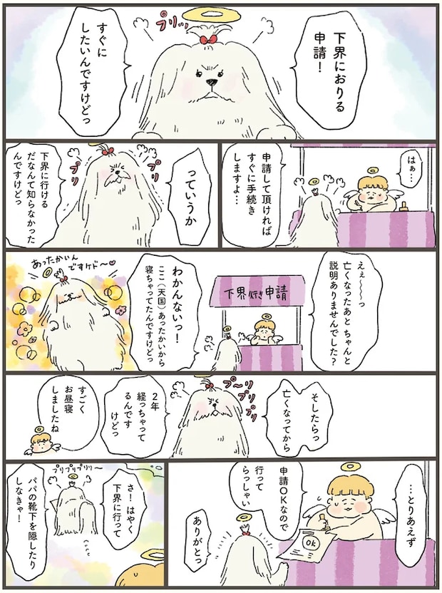 06-01.png