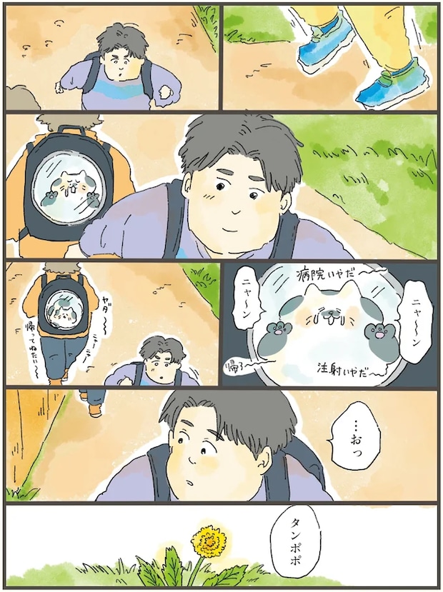 07-06.png