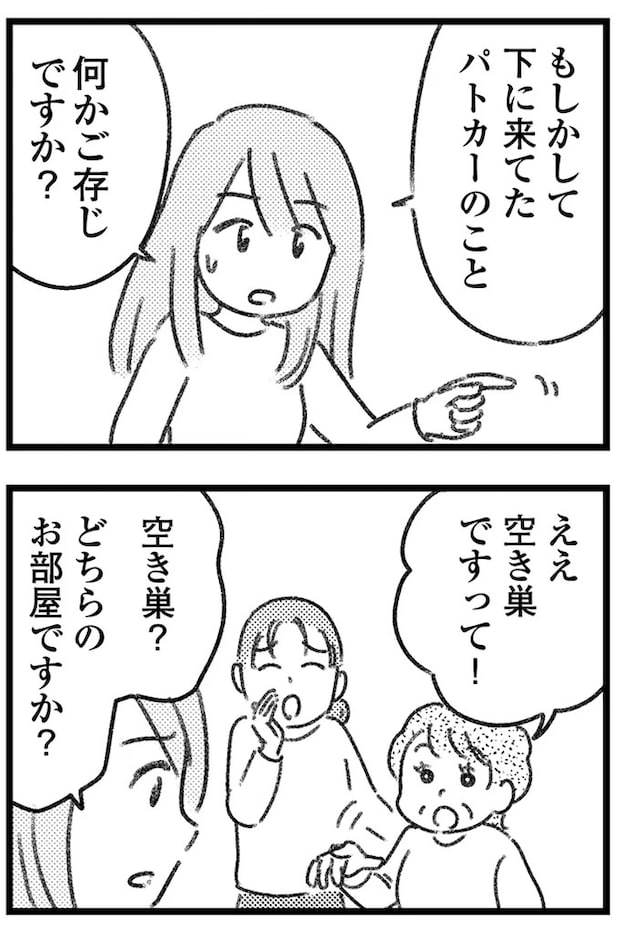 16247623.webp