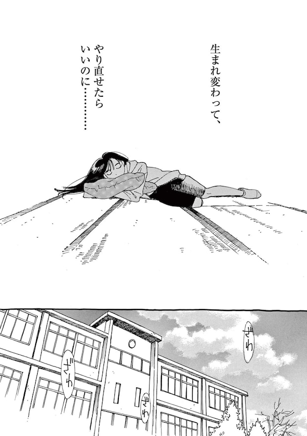 15792533.webp