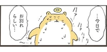 「まだ渡るわけには」。虹の橋を逆走するハムスターが飼い主に「伝えたかったこと」／天国での暮らしはどうですか2