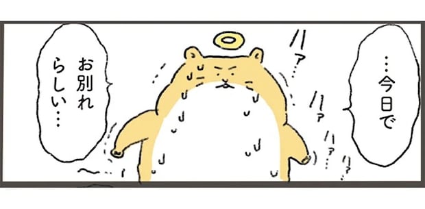 「まだ渡るわけには」。虹の橋を逆走するハムスターが飼い主に「伝えたかったこと」／天国での暮らしはどうですか2