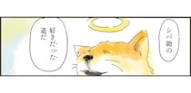「もしかしたら...どこからかひょっこり」。亡き愛犬との散歩道を歩く飼い主／天国での暮らしはどうですか2