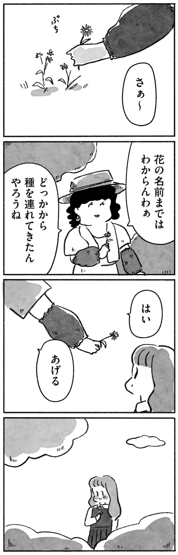 15144611.webp