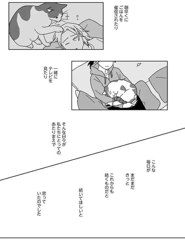 03-07.png