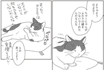 飼い猫が夫婦の縁をつないでくれた。2人と1匹の幸せな日常が続いていくと思っていたのに／世界一幸せな飼い主にしてくれた猫